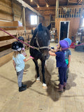 Little Cowboys & Cowgirls Horse Event